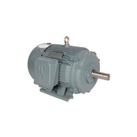 Worldwide Electric Worldwide Electric T-Frame Motor PEWWE25-18-284T-F2, GP, TEFC, Rigid, 3 PH, F2, 284T, 30.8 FLA PEWWE25-18-284T-F2